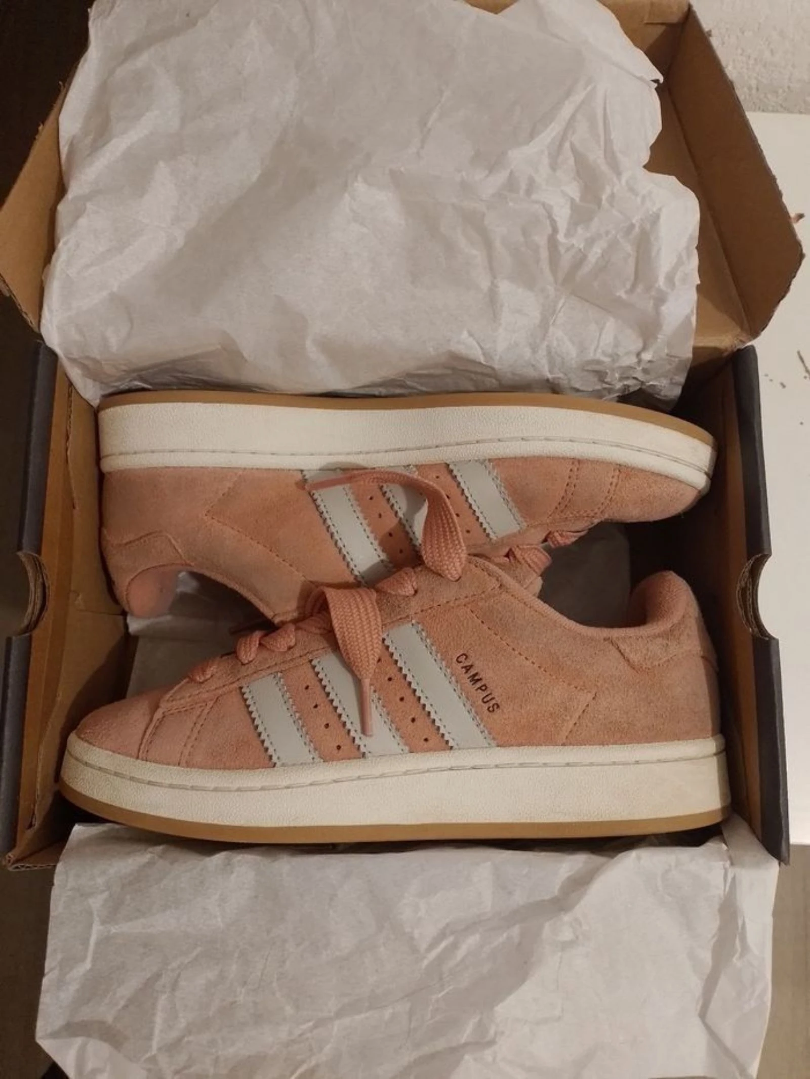 Adidas campus – photo 6